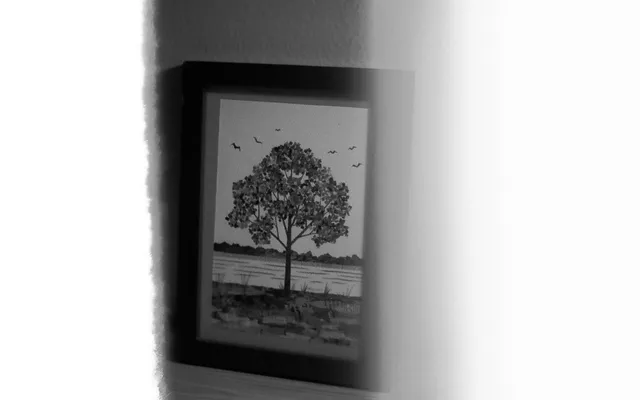 Film Photography photo 4