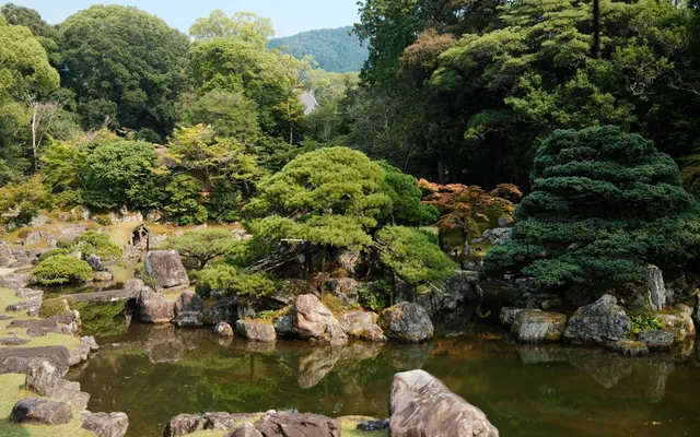 Kyoto photo 10
