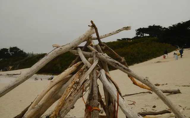 Monterey photo 7